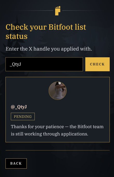 A Bitfoot list status check page showing a pending application for X handle '_QtyJ', with a profile picture of a ferret and a message thanking the user for their patience while the team processes applications.