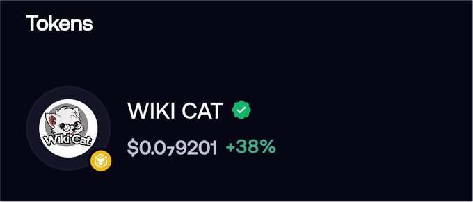 Screenshot of a cryptocurrency tracker showing the token 'WIKI CAT' (BSC) with a verified checkmark, priced at $0.079201, up +38%.