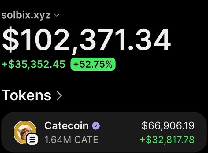 A screenshot of the solbix.xyz analytics page for the wallet "solbix.xyz" displays a total portfolio value of $102,371.34 (+$35,352.45 or +52.75%), highlighting 1.64M Catecoin (CATE) tokens valued at $66,906.19 (+$32,817.78), which aligns with the post's claim of $67,000 in remaining holdings and over $73,000 in total profit.