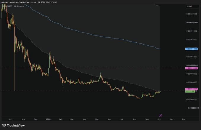 A TradingView candlestick chart for FLOCK/USDT on Binance showing a significant downtrend from late 2025 through October 2026, with the current price highlighted near $0.00000401.