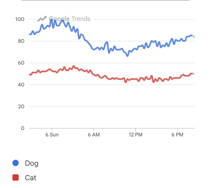 A Google Trends graph comparing search interest for 'Dog' (blue) versus 'Cat' (red) over a Sunday, with Dog consistently higher around 70-100 and Cat around 45-55.