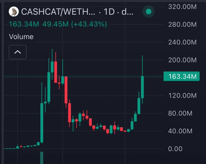 A candlestick chart of CASHCAT/WETH showing volume at 163.34M with a +43.43% change, displaying price action on a 1D timeframe.