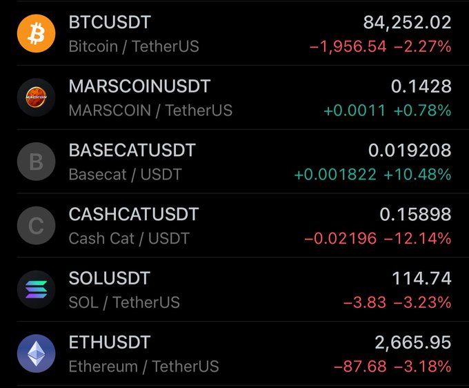 A cryptocurrency market dashboard displays various trading pairs against TetherUS (USDT), including BTCUSDT at 84,252.02 (down 2.27%), SOLUSDT at 114.74 (down 3.23%), and ETHUSDT at 2,665.95 (down 3.18%), alongside meme tokens like MARSCOINUSDT, BASECATUSDT, and CASHCATUSDT showing mixed performance. The image reflects the "Observing..." post by presenting a real-time snapshot of price movements across major and smaller-cap cryptocurrencies, all quoted against USDT.