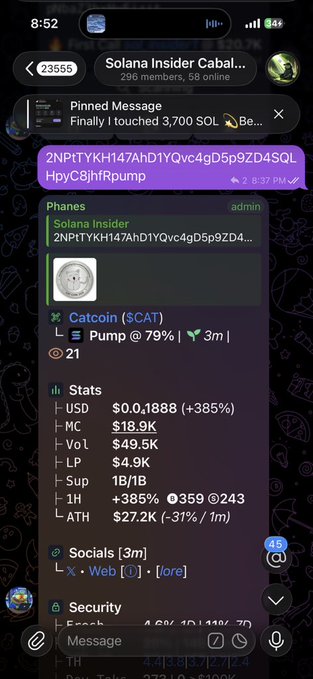 A mobile screenshot of a Telegram group called 'Solana Insider Cabal' (296 members) displays a pinned message and a post about a token called 'Catcoin ($CAT)' that is pumping 79%, with stats showing a market cap of $18.9K and a 385% gain.