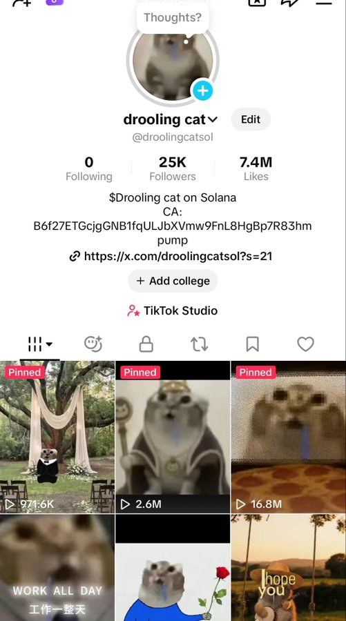 A TikTok profile for 'drooling cat' (@droolingcatsol) with 25K followers, promoting '$Drooling cat on Solana' with a contract address starting with B6f27ETGcjg.