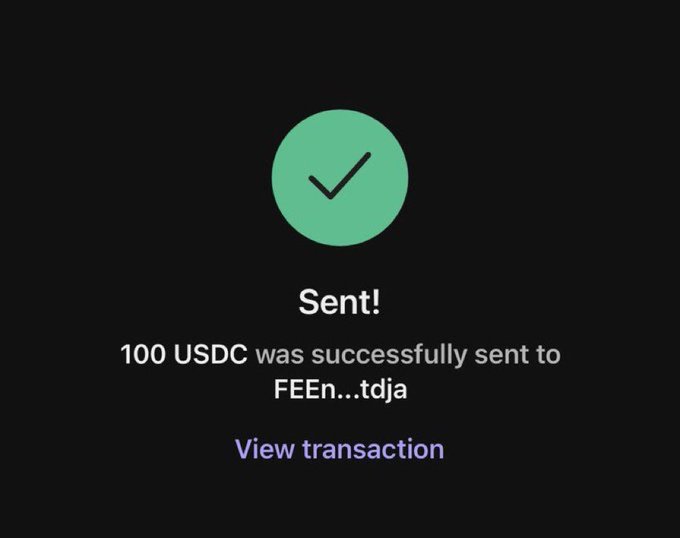 A dark screen with a green checkmark showing 'Sent!' and '100 USDC was successfully sent to FEEn...tdja' with a 'View transaction' link.