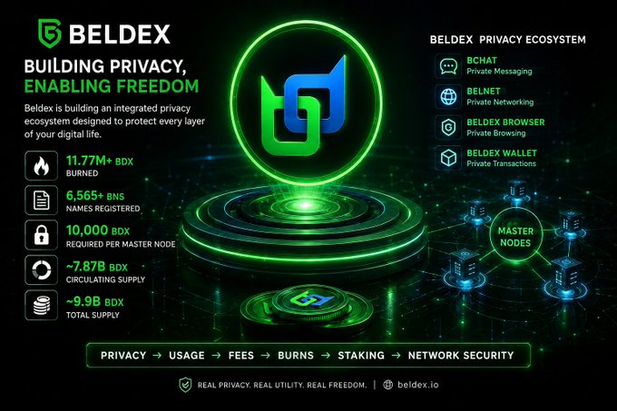 An infographic for 'BELDEX' titled 'BUILDING PRIVACY, ENABLING FREEDOM' details a privacy ecosystem with components like BChat, BelNet, Beldex Browser, and Beldex Wallet, along with token statistics including 11.77M+ BDX burned and a ~9.9B BDX total supply, branded with 'beldex.io'.