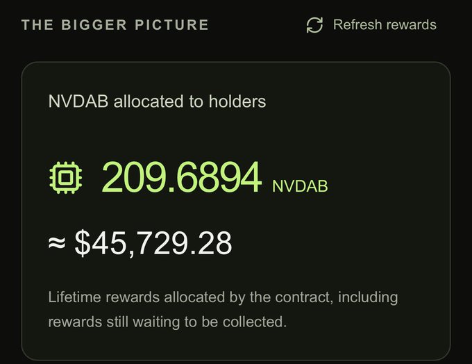 A digital dashboard titled 'THE BIGGER PICTURE' displays 'NVDAB allocated to holders' showing 209.6894 NVDAB tokens, equivalent to approximately $45,729.28 in lifetime rewards.