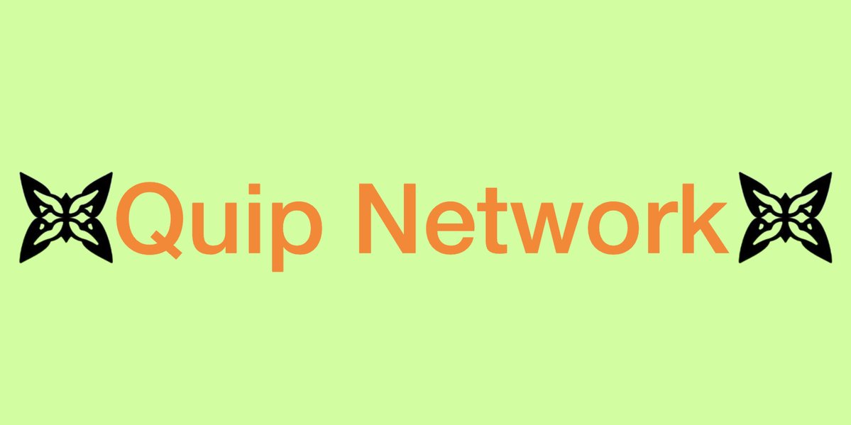 The image features a logo for a company named Quip Network. The logo consists of two black butterflies positioned above the word "quip" written in orange letters, creating an eye-catching design. The butterflies are symmetrically placed on either side of the word, adding balance and visual interest to the logo. The text "Quip Network" is clearly visible at the bottom center of the image, providing a clear representation of what the company does.