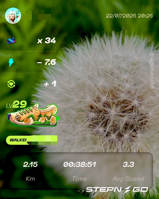 The image shows a STEPN GO app screenshot displaying walking stats (2.15 Km, 00:38:51, 3.3 Avg Speed) with a Level 29 sneaker NFT, set against a close-up photo of a fluffy dandelion seed head—visually connecting to the hashtag "#たんぽぽ" (dandelion) in the post.