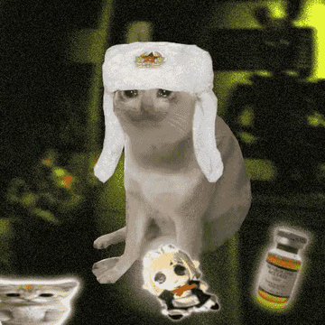A humorous photo edit of a cat wearing a white winter trapper hat, holding what appears to be a pill bottle, with a small cartoon character image overlay.