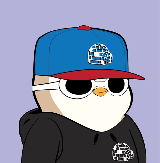 An illustration of a penguin wearing sunglasses, a blue and red cap with an igloo logo, and a matching black hoodie against a purple background.