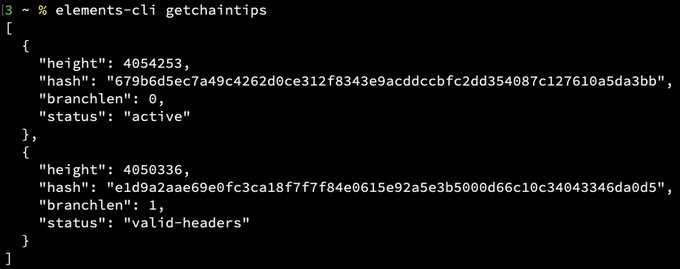 The image shows a terminal output from running `elements-cli getchaintips`, displaying two chain tips with their heights (4054253 and 4050336), hashes, branchlen, and status ("active" and "valid-headers"). This confirms the user's successful full audit of Liquid's blockchain up to the correct active chain tip at block 4054253.