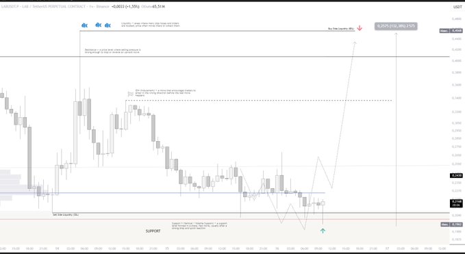 A 1-hour candlestick chart of $LAB/USD on Bitfinex shows price trading near 0.2335 (+1.5%), with annotations highlighting "Support V" holding, a sell-side liquidity setup below, and projected bullish targets marked at 0.2695, 0.3390, and 0.4560 for a potential +135% move.
