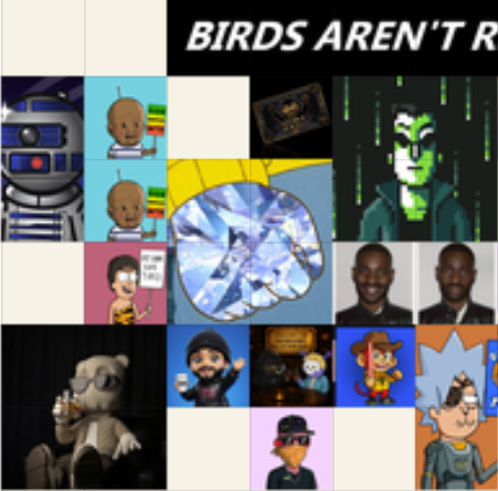 The image is a collage of various NFT-style characters, including a robot, cartoon figures, an anime-style character, a bear, and other digital art pieces, with partial text at the top reading "BIRDS AREN'T R[EAL]." The collage appears to showcase a diverse PFP NFT collection, visually reinforcing the post's point about holders who treat their NFTs as long-term "permanent homes" rather than quick flips, emphasizing the variety and uniqueness of collectibles kept by diamond-hand investors on Dotland.