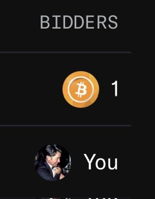 A 'BIDDERS' screen showing a Bitcoin icon with '1' and a user labeled 'You' with a profile picture.