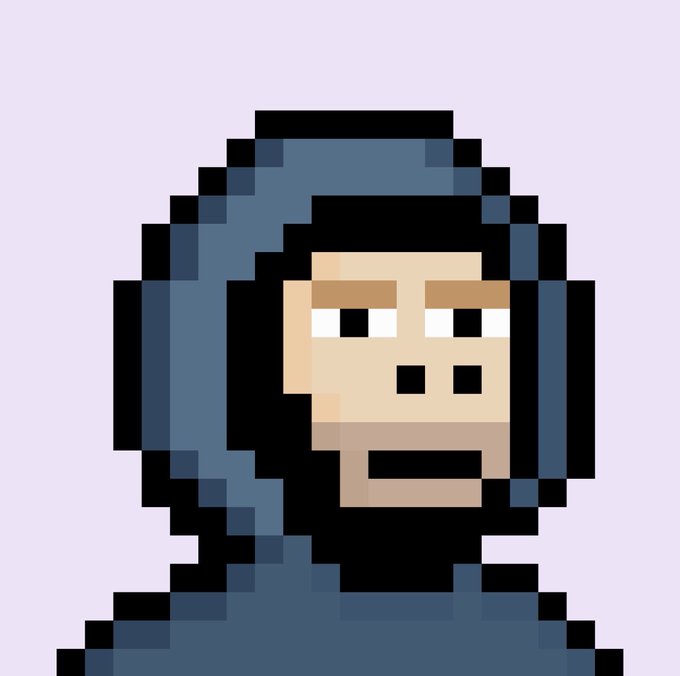 A pixel art portrait shows a character wearing a dark blue hoodie with the hood pulled up, set against a plain light purple background.