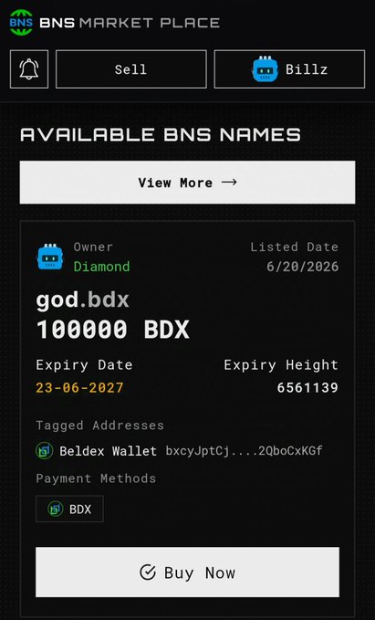 A screenshot of the BNS Marketplace interface showing a listing for the BNS name 'god.bdx' priced at 100000 BDX, owned by 'Diamond' and listed on 6/20/2026, with a 'Buy Now' option at the bottom.