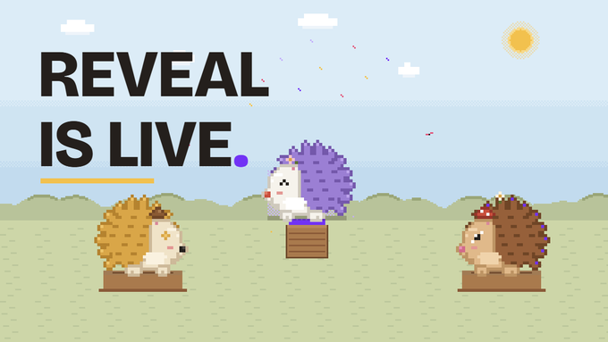 A pixel art animation promotional image displaying the text 'REVEAL IS LIVE' above three pixelated hedgehog characters standing on a grassy field under a blue sky.