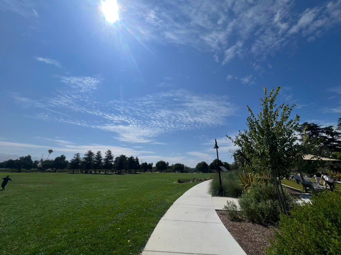 A bright, sunny photograph of a park with a concrete path leading through green grass, scattered trees, and a brilliant blue sky with wispy clouds, with a person visible in the distance on the left.