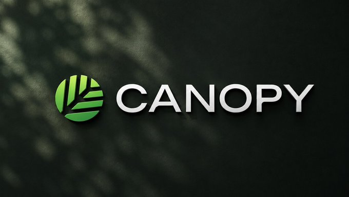 The image features a logo for a company named "Canopy" that uses a green leaf design, with the word "CNPY" written below it. The background of the image is black, which contrasts with the vibrant green color of the leaf design. The text "Focus on what is in the image and how it relates to the post." is also present within the image.