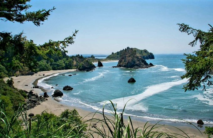 A scenic coastal photograph showing a sandy beach curving around a bay with rocky outcrops and cliffs covered in green vegetation, viewed through overhanging tree branches under a clear blue sky.