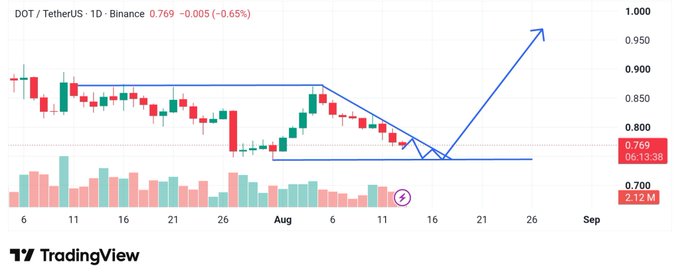 A TradingView financial chart for the cryptocurrency pair 'DOT / TetherUS' on Binance, showing a 1D timeframe with red and green candlesticks, an annotated blue trendline pattern, and a price of 0.769.