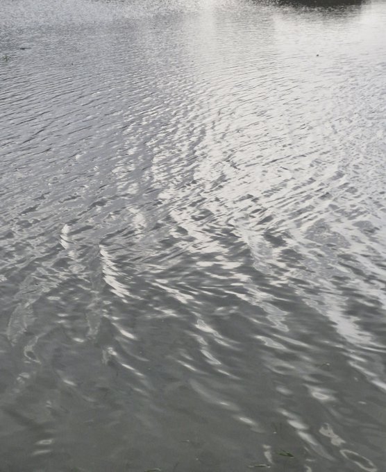 A grayscale view of rippling water with sunlight reflecting off its surface, suggesting a calm river scene that matches the post's reference to a river.