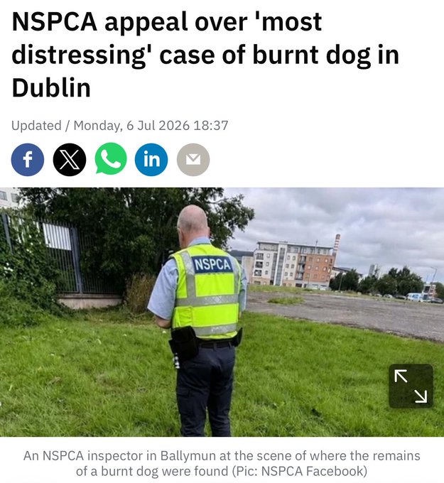 [caption-failed: flagged sensitive]