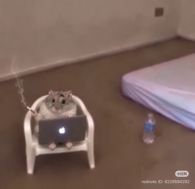 A cute image of a hamster sitting on a tiny white chair, smoking a cigarette while looking at a small laptop displaying the Apple logo, with a water bottle and bed in the background; watermark reads 'rednote ID: 6226594282'.