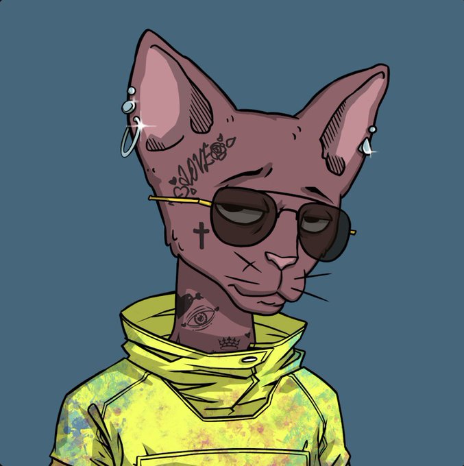 [caption-failed: minimax unavailable]
