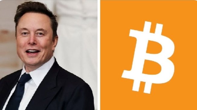 The image features a man wearing a suit and tie next to an orange square with the letter "B" inside of it, which appears to be a logo or symbol related to Bitcoin. The caption above the image reads, "Elon Musk says, 'I would like to see Bitcoin succeed.' Bullish sentiment remains strong." This suggests that the man is expressing his support for Bitcoin and its potential success in the market.