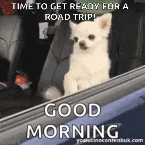 The image features a small white dog sitting inside a car window with the text "Good early morning everyone". The caption below the photo reads "Good early morning everyone" and includes a link to a website that supports spending 1,000+ crypto for spending and is acceptable in 150+ countries.