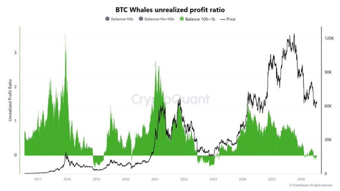 The image, titled "BTC Whales unrealized profit ratio" from CryptoQuant, displays three categories of Bitcoin whale balances (1k–10k, 10k–100k, and 100k–1k) plotted against Bitcoin's price from 2017 through 2026, showing the green 100k–1k group currently sitting near zero—visually confirming the post's claim that small whales remain in a loss position just before a potential shift into profitability.