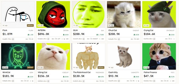 A screenshot of various NFT cat collections on a marketplace, including 'Flork', 'INTERN', 'GLIH', 'Chad Cat', 'Crying Cat', 'WinkCat', 'Vibing Cat', 'The Robinhood Cat', 'Cash Kitty', and 'Feline Finance', with prices in WETH.