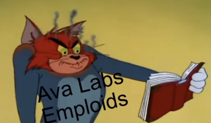 The image shows Tom from *Tom and Jerry* with an angry, wide-eyed expression, steam rising from his head as he holds out a book. The text "Ava Labs Empoids" is overlaid on the scene, referring to Ava Labs employees in a misspelled manner. The meme humorously conveys frustration, matching the post's exasperation that Avalanche ($AVAX) holders failed to notice the lack of any mention of business use cases.