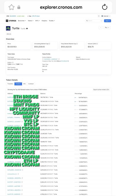 A Cronos blockchain explorer page (explorer.cronos.com) showing the 'Turtle Turtle' token details with token holders list, where addresses have been overlaid with green text highlighting 'ETH BRIDGE', 'STAKING', 'NFT LIQUIDITY', and 'KNOWN CROFAM'.