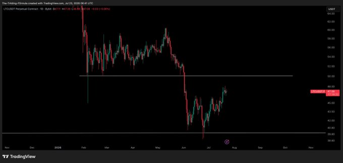 A TradingView daily chart of the LTCUSD perpetual contract on Bybit shows Litecoin hovering around the $49–$50 area after rebounding from a mid-June low near $40, with horizontal support drawn near $50 — consistent with the post's call for a minimum $50 retest.
