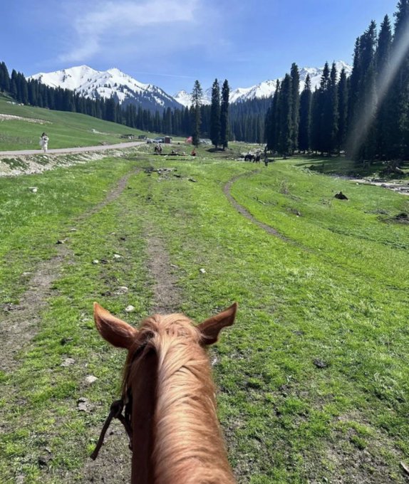 A first-person view from a horseback rider journeys through a lush, green mountain valley with snow-capped peaks and scattered people enjoying the scenery in the distance.

However, the image doesn't appear to relate to the accompanying text about crypto profits and financial discretion—it's simply a scenic horseback ride capturing a peaceful moment in nature, with no visual cues connecting it to cryptocurrency or financial advice.