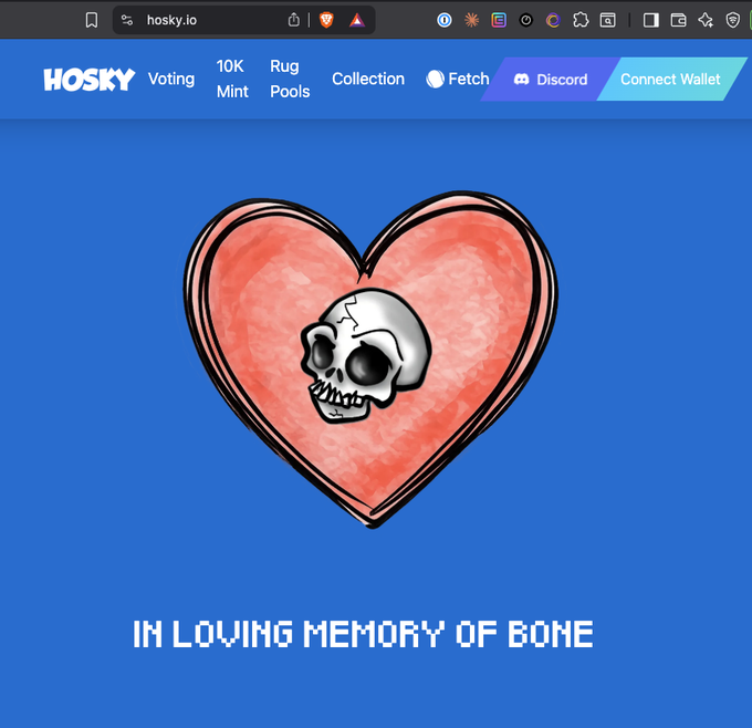 A webpage on hosky.io showing a blue background with a pixel-art heart containing a skull and the text 'IN LOVING MEMORY OF BONE', with navigation links for Voting, 10K Mint, Rug Pools, Collection, Fetch, Discord, and Connect Wallet.