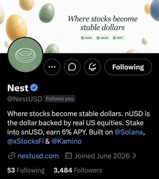 The image is a Twitter/X profile screenshot for the verified account "Nest" (@NestUSD), featuring a banner reading "Where stocks become stable dollars" and describing nUSD as a dollar backed by real US equities offering 6% APY on Solana, which contrasts with the post's distinction of a separate "nest" project, @NestExchange, a liquidity and spot growth layer for Hyperliquid.