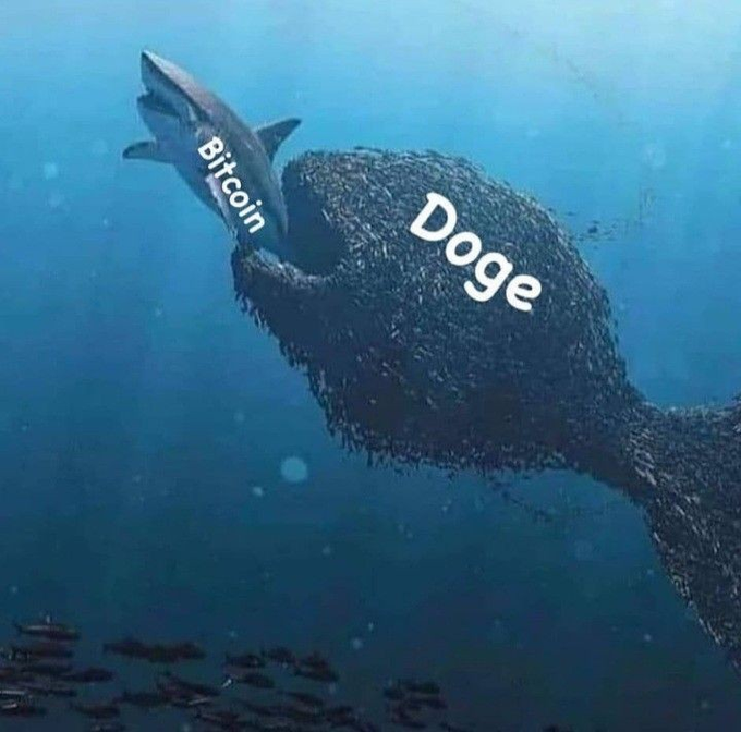 The image shows a massive school of fish shaped like a giant fish labeled "Doge," seemingly about to swallow a smaller shark labeled "Bitcoin." The visual humorously represents Dogecoin overpowering or consuming Bitcoin in the crypto market.