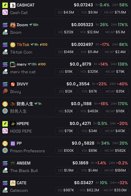 The image shows a cryptocurrency tracking dashboard displaying ten meme coins including CASHCAT ($0.07243), Doom ($0.005323), TikTok Coin ($0.002497), merv the cat ($0.8179), Divvy ($0.03554), 财务人生 ($0.01188), HOOD PEPE ($0.04271), Prison Professors ($0.05828), The Black Bull ($0.1869), and Catecoin ($0.03427), each with their market cap, 1-hour, and 24-hour percentage changes. The list relates to the post about exploring potential memecoins, with notable performers like TikTok Coin and HOOD PEPE standing out, though the majority of coins showing negative 24-hour changes (Doom -1%, Divvy -40%, PEPE -20%) suggests a generally bearish market day for these specific tokens.