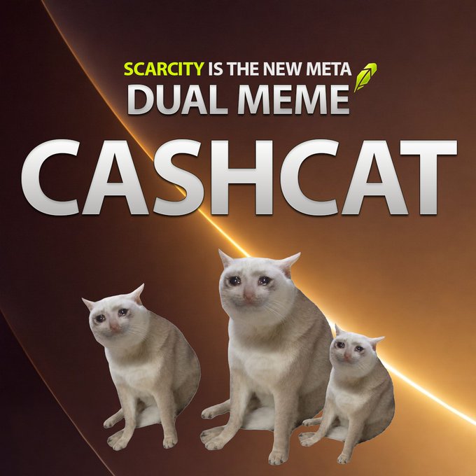 A promotional graphic for 'CASHCAT' featuring three cats with the text 'SCARCITY IS THE NEW META' and 'DUAL MEME' against a brown background.