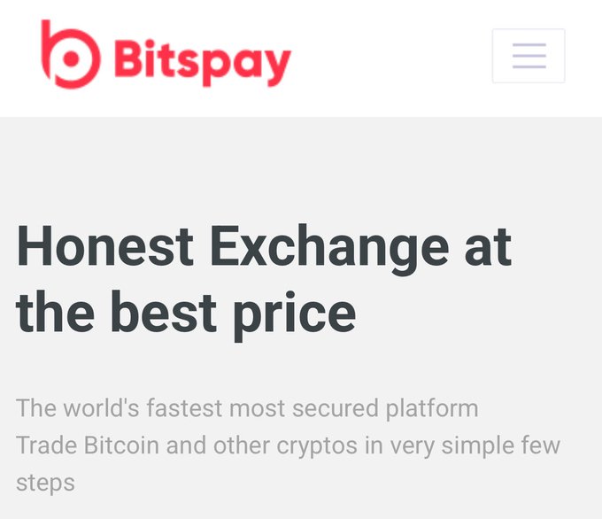 A Bitspay website header displaying the logo and tagline 'Honest Exchange at the best price' with text reading 'The world's fastest most secured platform. Trade Bitcoin and other cryptos in very simple few steps.'