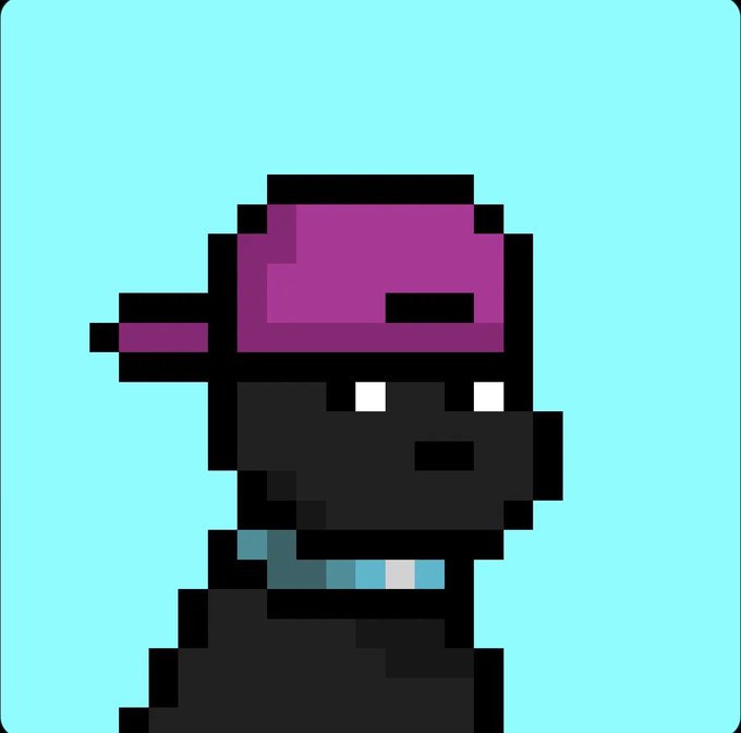A pixel art character wearing a purple backwards cap and black shirt with white eyes and a blue scarf against a teal background.