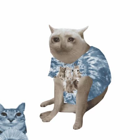 An internet meme featuring a white cat wearing a blue tie-dye t-shirt with cat faces printed on it, with a smaller cat peeking from the bottom left.