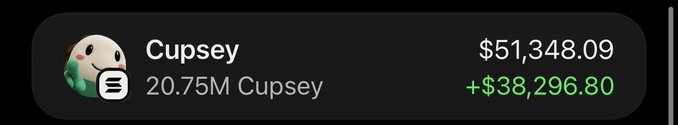 A dark-themed digital wallet interface showing an account named 'Cupsey' with a balance of $51,348.09 and a gain of +$38,296.80 for 20.75M Cupsey tokens.