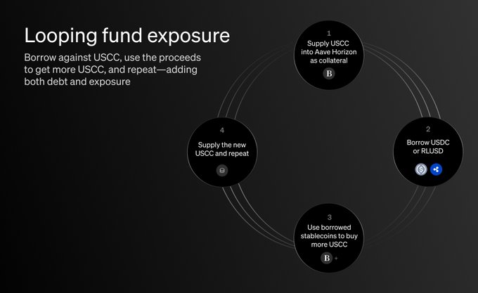 A dark-themed infographic titled 'Looping fund exposure' illustrating a four-step cyclical process of borrowing and supplying USCC on Aave Horizon to increase exposure.
