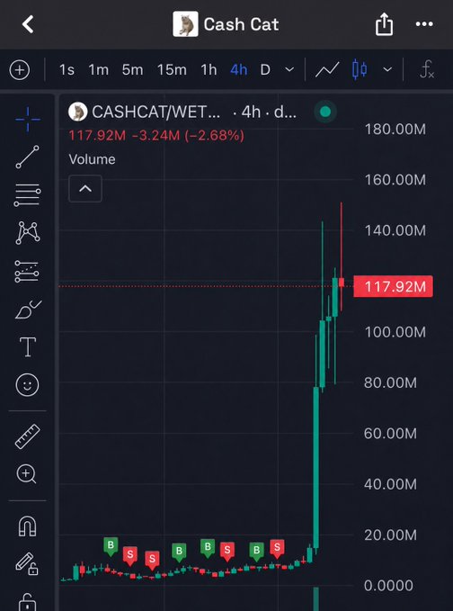 A trading chart screenshot for 'Cash Cat' (CASHCAT/WET...) on a 4-hour timeframe showing volume spiking dramatically to 117.92M, with the current price marked at 117.92M.